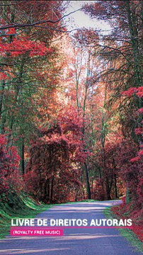 ✅💘Música ambiente para ouvir e animar o trabalho e o estudo, trazendo harmonia- Fragmentos #57