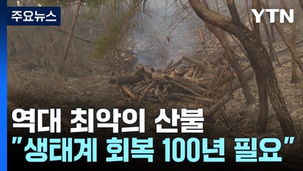 "산불 피해지역 생태계 완전 회복에 100년 이상 필요" / YTN