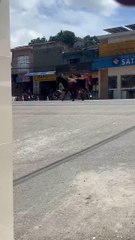 Mulher é atacada por boi solto em Satuba