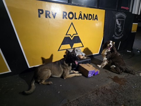 Passageiro de ônibus é preso com 12 kg de drogas em Rolândia; vídeo