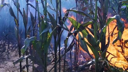 (2021) Behind The Scenes - The Maze Fire