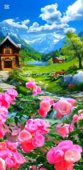 VID_20250405_153559_144