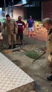 Cobra jiboia é capturada na Rua José Germano, no Jatobá, em Patos; moradores reclamam de matagal em terreno