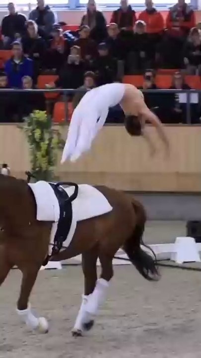 #funnymoments  #funnyreels  #funnyvideos  #funnymemes  #funnyreelsvideo  #funnypost  #funnyclips  #funnyprank  #funnypictures  #funnypets  #funnyquotes  #funnyshorts  #funnystory  #funnyvideosclips