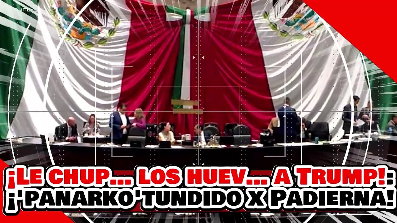 ¡LE CHUP… LOS HUEV… A TRUMP! ¡’PANARKO’ del MONTÓN es TUNDIDO BRUTALMENTE por DOLORES PADIERNA!