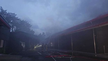 속초 식품 첨가물 공장 불...건물 한 동 모두 타 / YTN