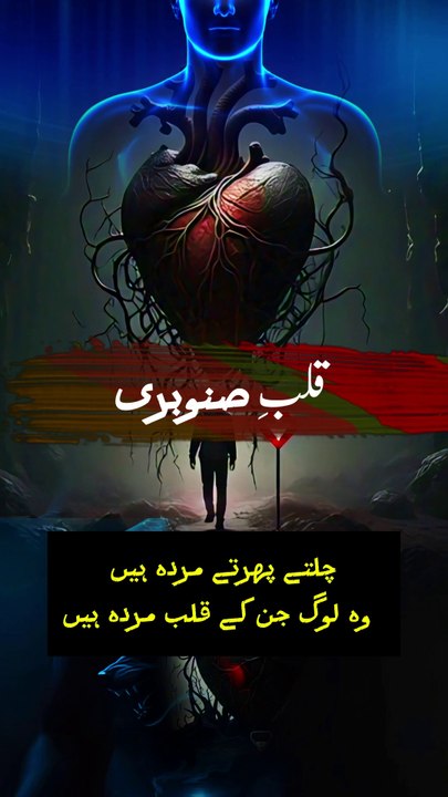 Qalb e Snobari | Deen e Ilahi #shorts