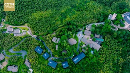 Moganshan : Le modèle "Maison d'hôtes +" ouvre la voie de la revitalisation rurale