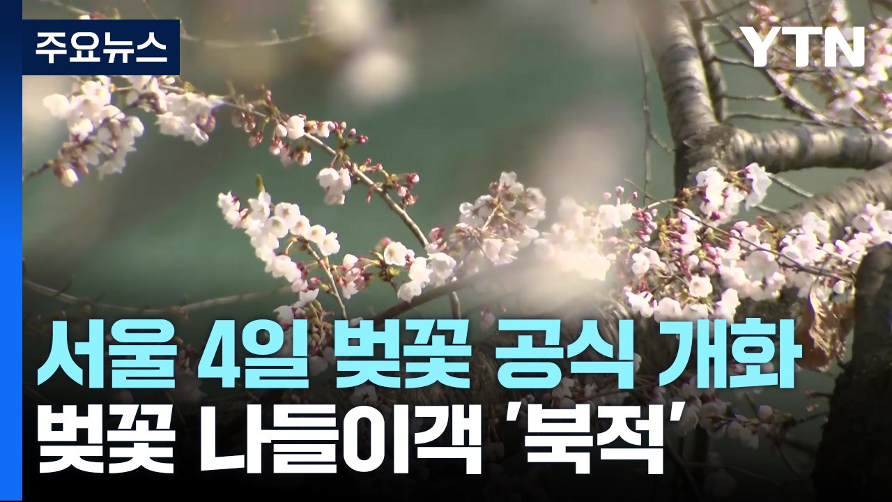 [날씨] 휴일, 예년 이맘때 봄...도심 공원, 벚꽃 축제 한창 / YTN