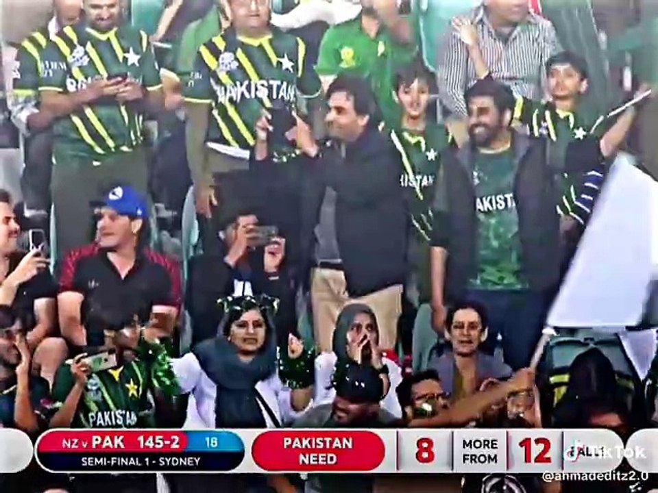 Cricket 🏏