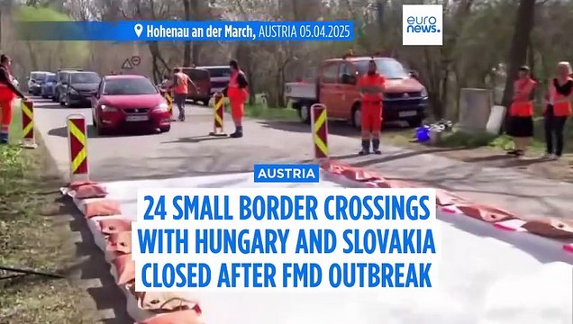 Austria shuts dozens of border crossings with Hungary and Slovakia due to foot-and-mouth outbreak