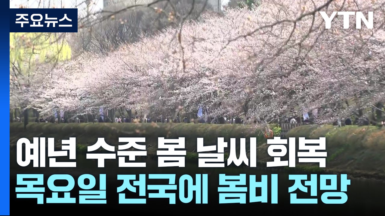 휴일, 예년 수준 봄 날씨...시민들 벚꽃 구경 '북적' / YTN