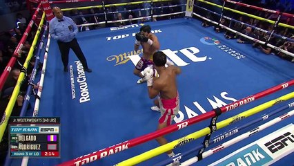 Lindolfo Delgado vs. Elvis Rodriguez (05-04-2025) Full Fight