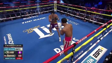 Lindolfo Delgado VS Elvis Rodriguez