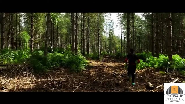 Saatchi | show | 1983| S1 | Official Trailer