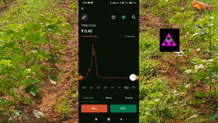 chhota sa stock Triton Corp Share Price