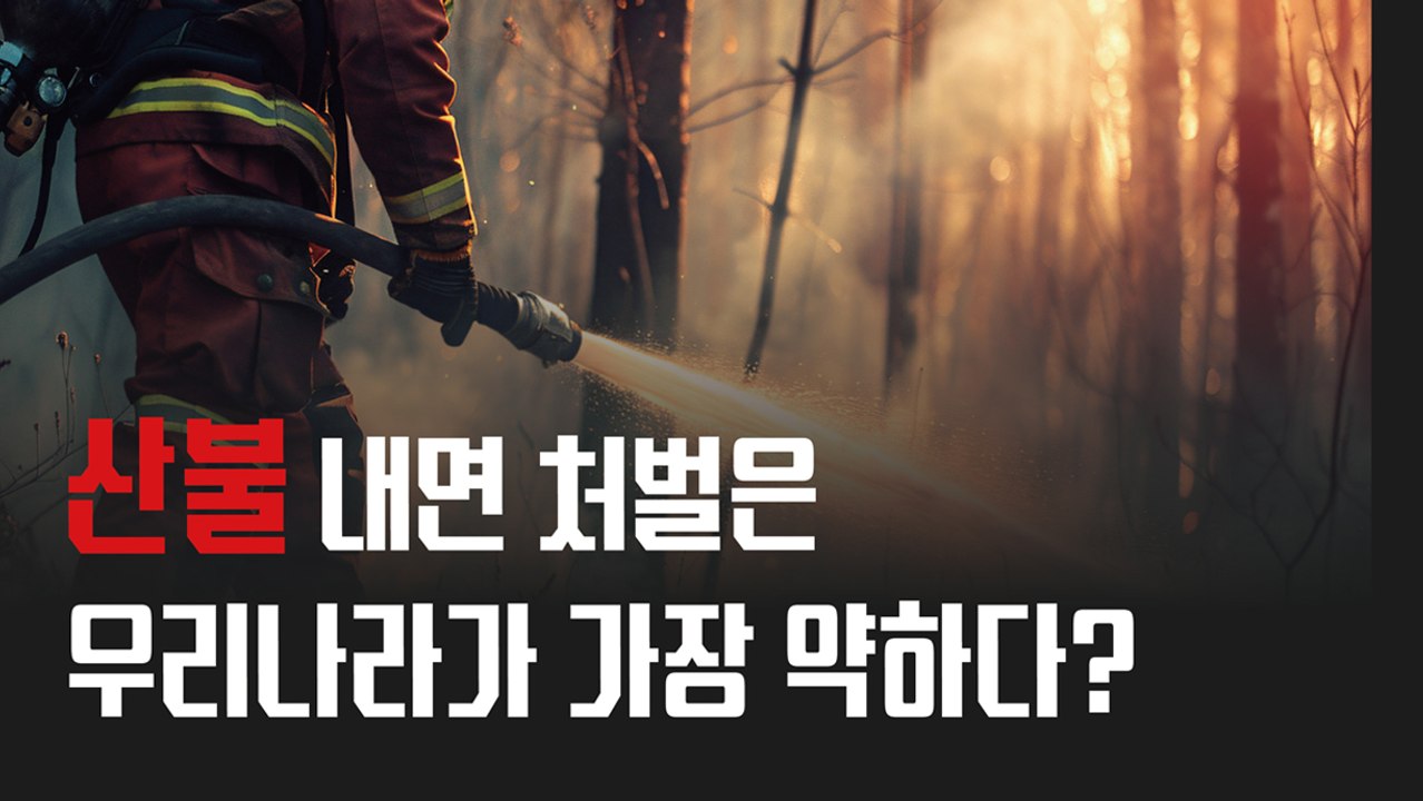 산불 내면 처벌은 우리나라가 가장 약하다?[김대성의 아아 그렇군요]