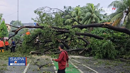 Hujan dan Angin Kencang, Pohon Tumbang Tutup Jalan Raya Cut Mutia Bekasi
