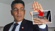Şanlıurfalı akrep üreticisi dünyanın en pahalı sıvısını üretiyor: Gramı 10 bin dolardan alıcı buluyor