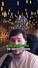 Et si Harry Potter avait eu le vertige ? 🧙‍♂️ Adieu le Quidditch !
