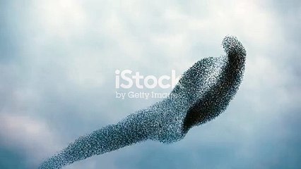 Murmuration of starlings against the sky at dusk on a cloudy day.