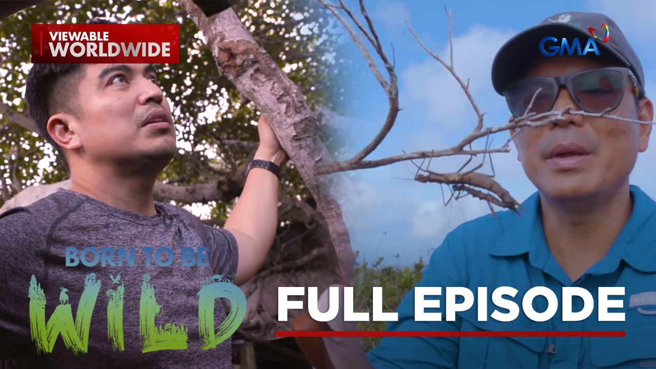 The Habitat Challenges of Wildlife  (Full Episode) | Born to be Wild