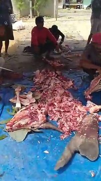 Hari Raya Idul Adha, Potong Hewan Kurban Kambing Sapi di Musholla An Nashir, Bumi Sari Natar