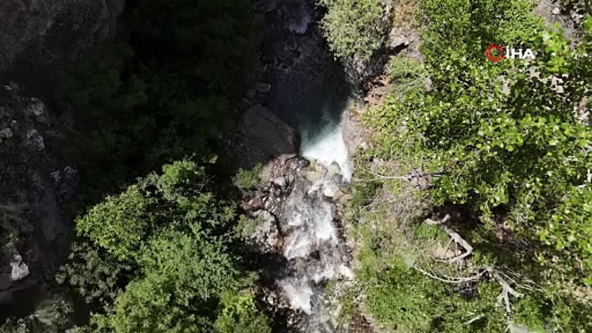 Erzincan’da kanyonlarla bütünleşen yaban keçileri