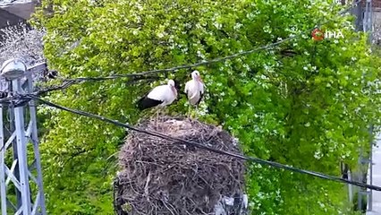 Göçün durağı İstanbul’un leylekli köyü