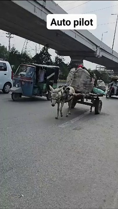 #What 🤣 funny#Dailymotionvidio#