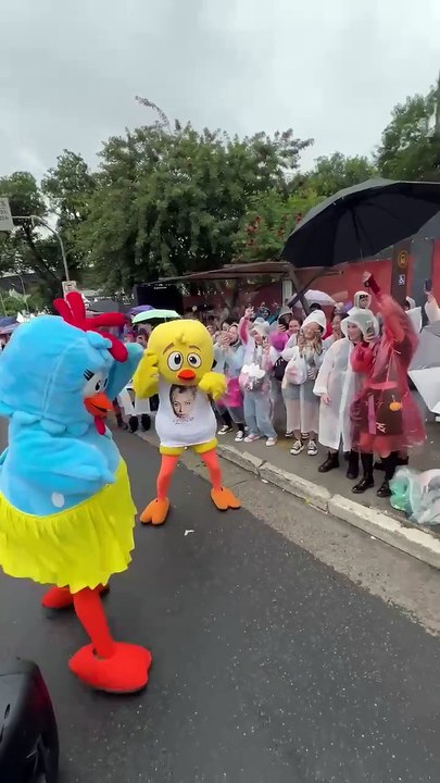 Galinha Pintadinha abre show do Stray Kids; entenda