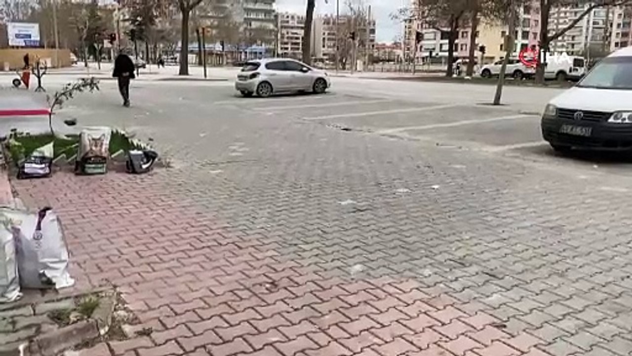 Köpek sever lobisi iyi izlesin! Konya’da sahipsiz köpekler kediyi telef etti