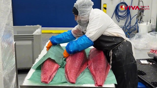 Kebijakan Trump Bikin Harga Sushi dan Makanan Laut Jadi Naik