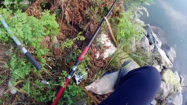 Знакомство с рекой ПО в Италии