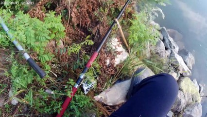 Знакомство с рекой ПО в Италии