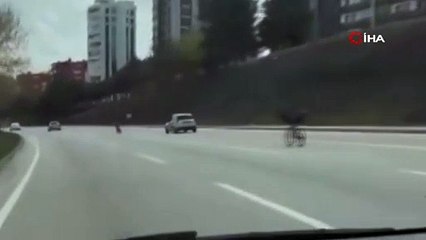 Trafikte korkutan görüntü! Hayatlarını tehlikeye attılar!