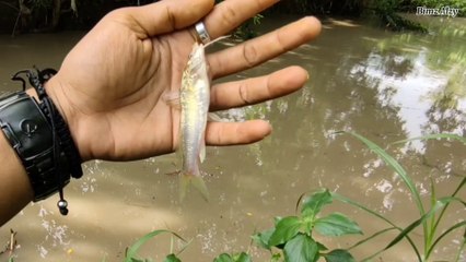 Mantap !! Mancing Saat Banjir Datang Air Keruh Tidak Jadi Masalah