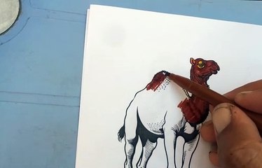 How to Uniquely Colour a Camel with Maker Colours by HW Coloring