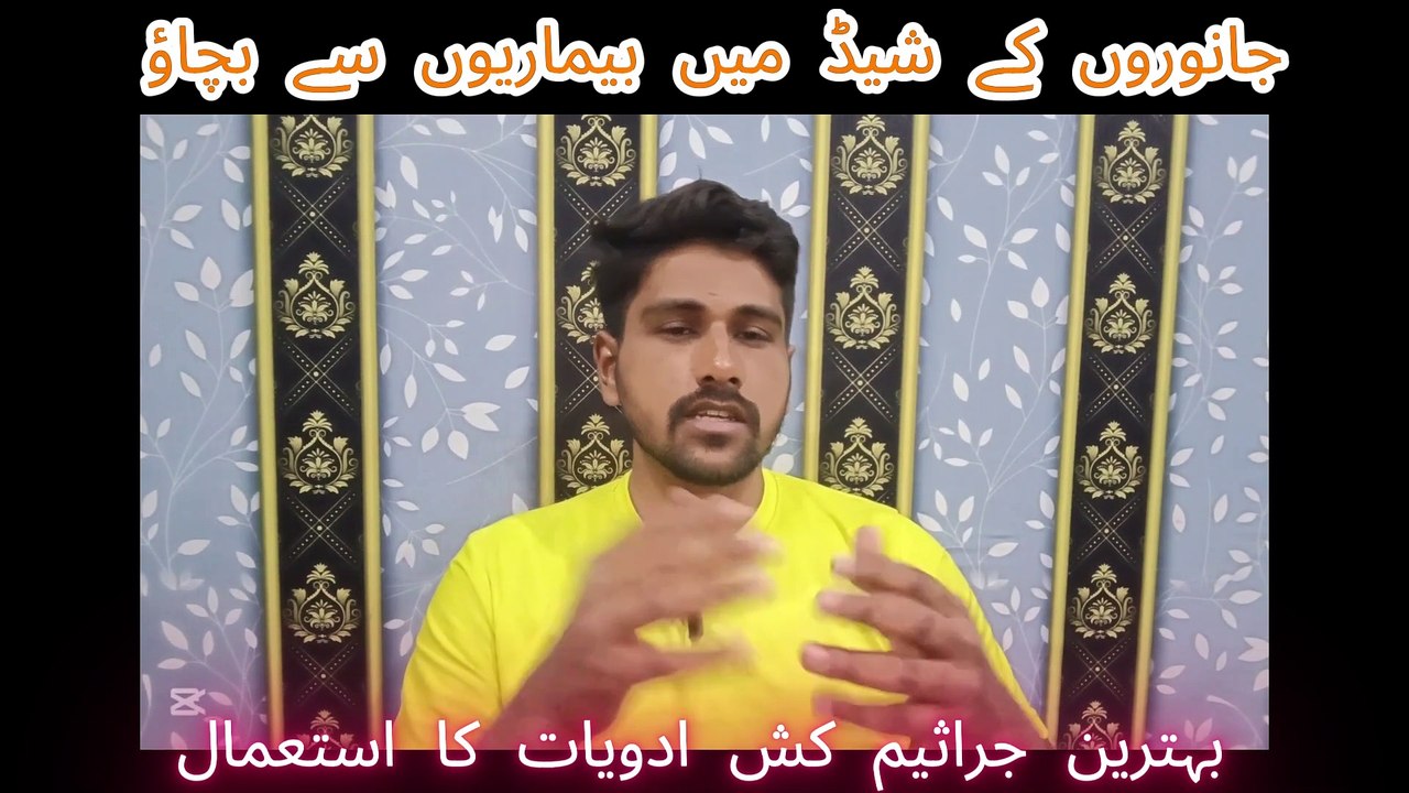 جانوروں کے شیڈ میں بیماریوں سے بچاؤ! بہترین جراثیم کش ادویات کا استعمال