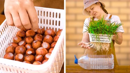 The Science Behind Plant Growth Hacks: Gardening for Every Skill Level