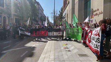 Concentración de Pacma en Valladolid