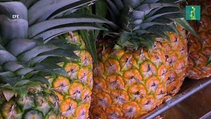 Los aranceles de EE.UU. amenazan las exportaciones agrícolas de Latinoamérica