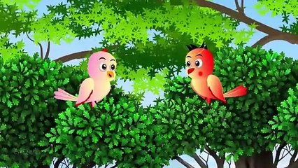 कार्टून चिड़िया _ Episode Rano _ Chidiya Wala Cartoon _ Tuni Acchi Cartoon _ Hindi Kahani _Chichu TV(360P)