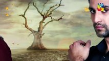 Yakeen Ka Safar - Episode 19 - [ HD ] - {  Sajal Ali - Ahad Raza Mir - Hira Mani } - HUM TV Drama
