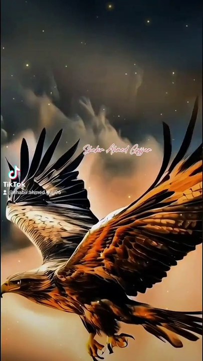 Islamic channel