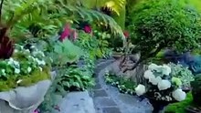 The nature