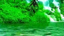 Green Nature