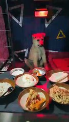 At the request of the online community, he turned my barn into a gym with delicious food ☹️