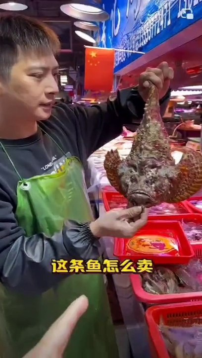 金枪鱼尾