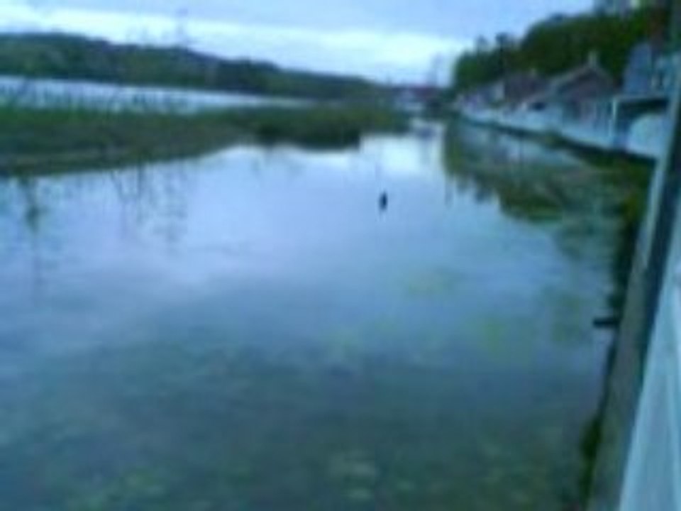 MOV01008